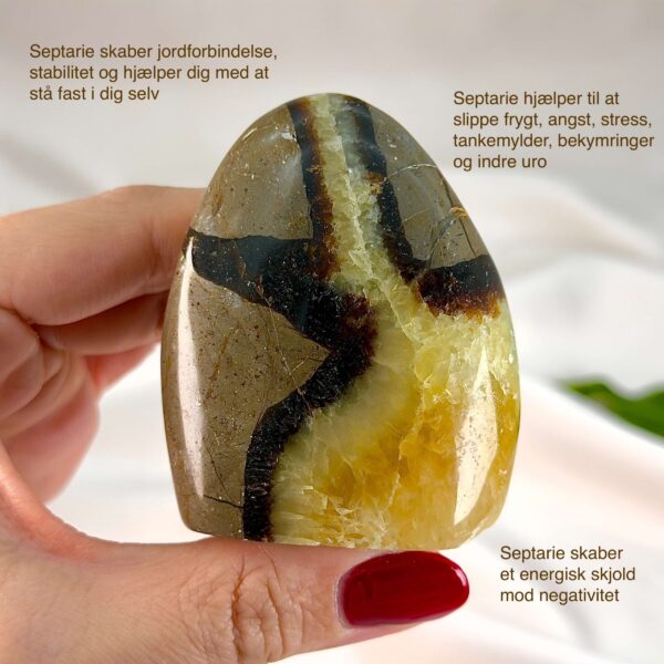 Septarie krystal freeform støtte mellem fingre på hvid baggrund med grønt blad med tags