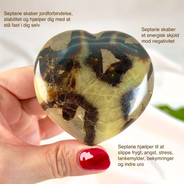 Septarie krystal hjerte mellem fingre på hvid baggrund med grønt blad med tags