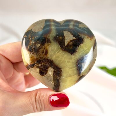 Septarie krystal hjerte mellem fingre på hvid baggrund med grønt blad