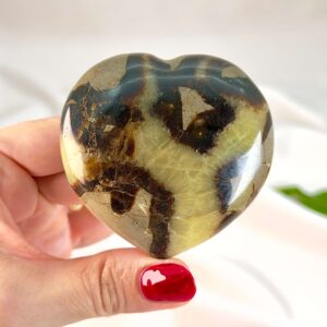 Septarie krystal hjerte mellem fingre på hvid baggrund med grønt blad