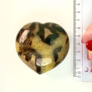 Septarie krystal hjerte ved siden af lineal på hvid baggrund