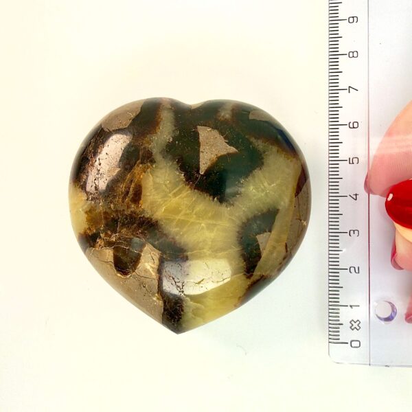 Septarie krystal hjerte ved siden af lineal på hvid baggrund