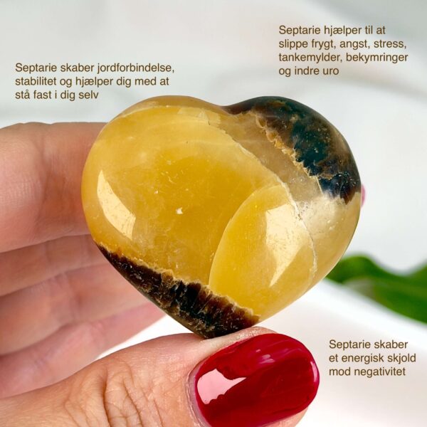 Septarie lille krystal hjerte mellem fingre på hvid baggrund med grønt blad med tags