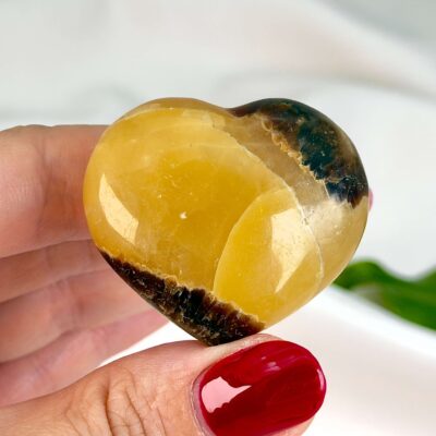 Septarie lille krystal hjerte mellem fingre på hvid baggrund med grønt