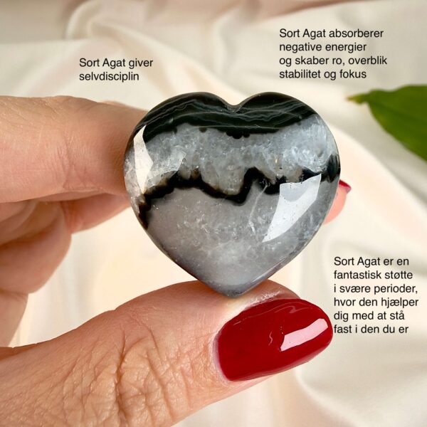 Sort agat krystal hjerte mellem fingre på hvid baggrund med blad med tags