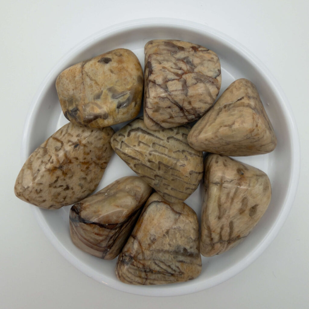 Glædelig 21. december – I dag finder du en Zebra Månesten i din julekalender 2 Zebra Månesten krystal i hvidt fad med hvid bagggrund