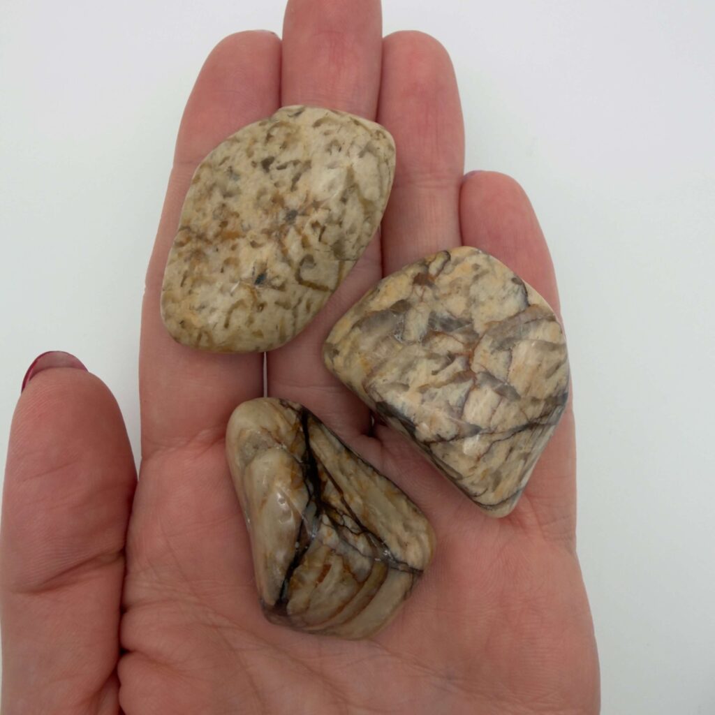 Glædelig 21. december – I dag finder du en Zebra Månesten i din julekalender 1 Zebra Månesten krystal i hånd med hvid baggrund