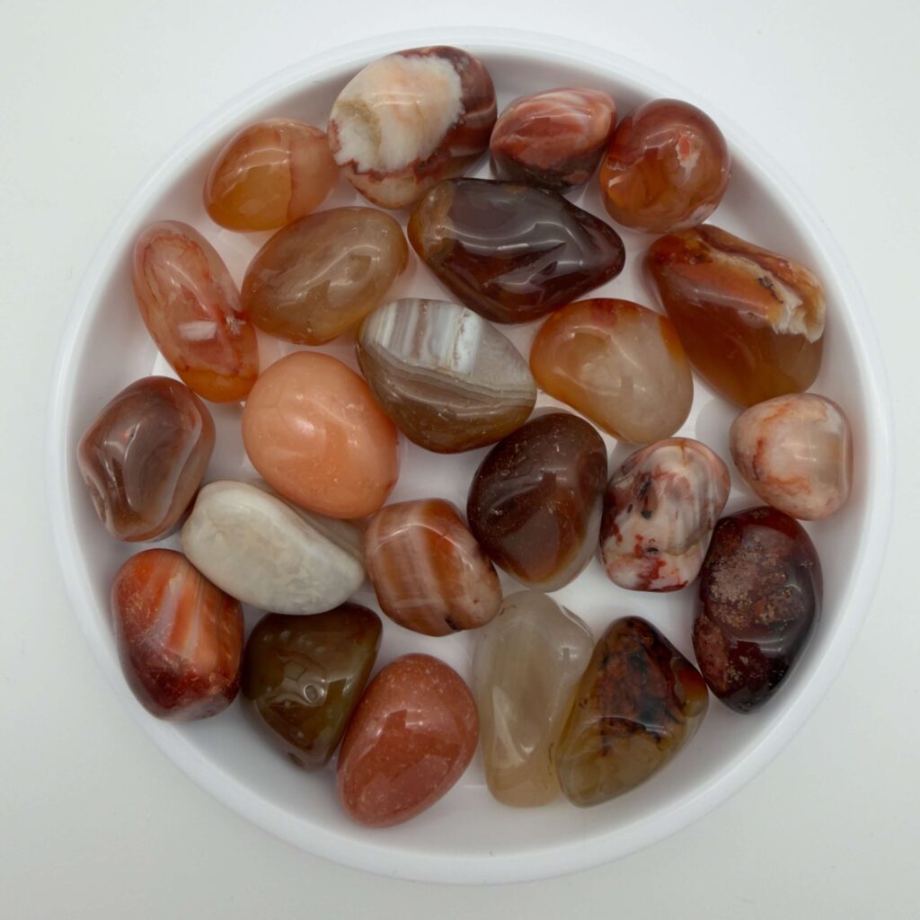 karneol krystal i hvidt fad med hvid bagggrund