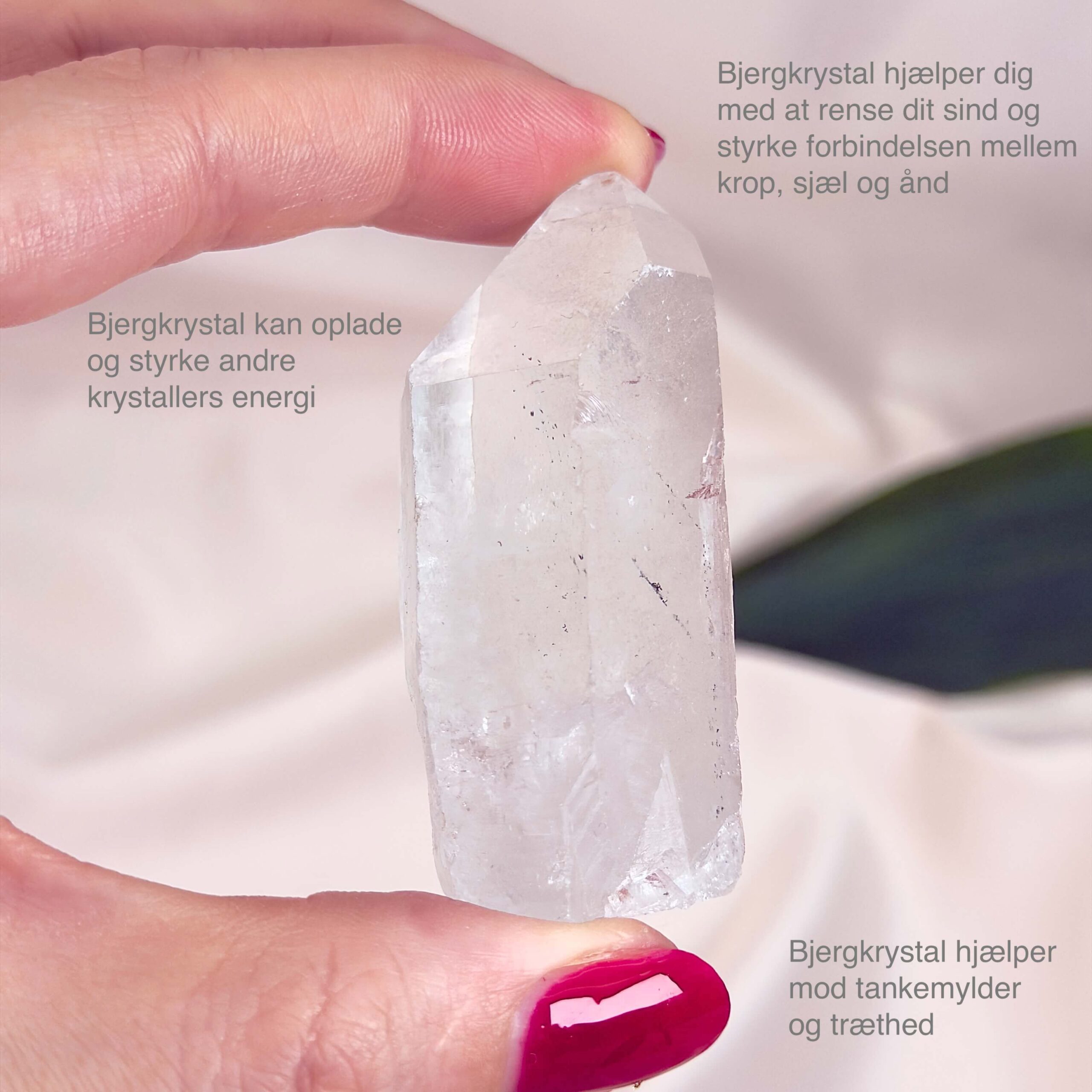 Bjergkrystal Spids rå Krystal sten i hånd på hvid baggrund med tags