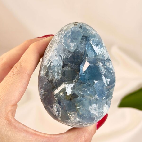 Celestit Klynge Æg Krystal Sten Rå i hånd på hvid baggrund