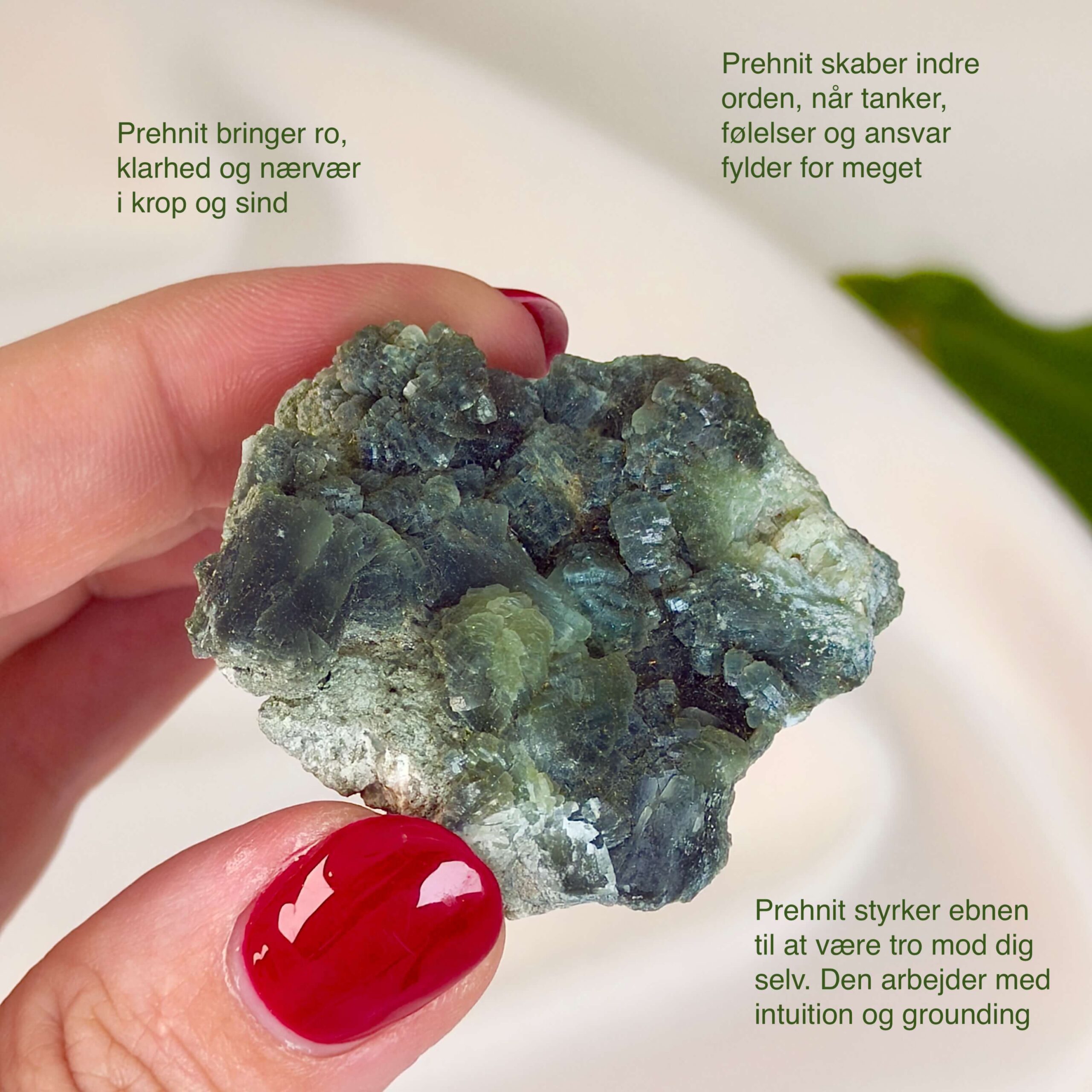 Prehnit krystal rå klynge sten i hånd på hvid baggrund med tags