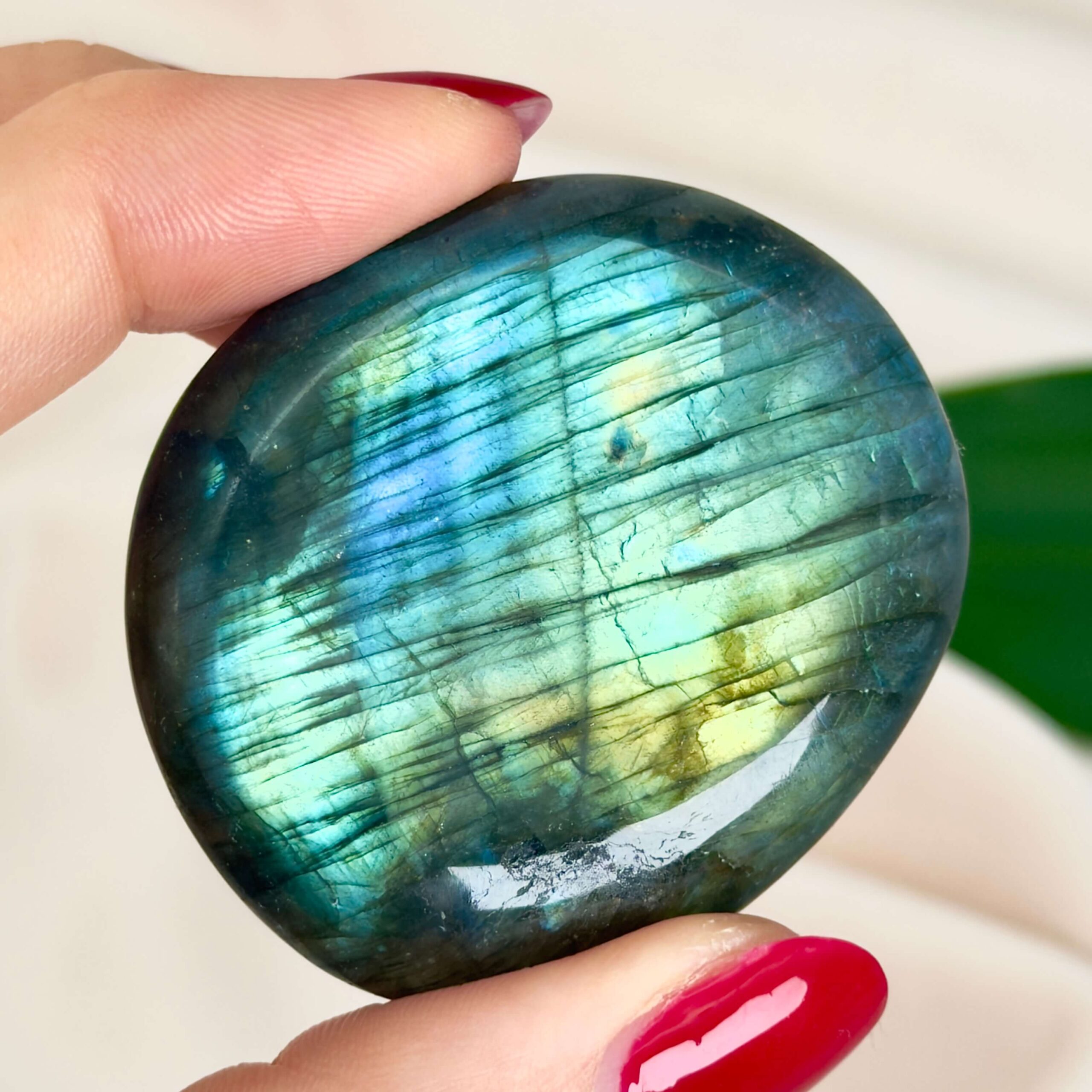 Labradorit Håndsten Krystal sten i hånd på hvid baggrund