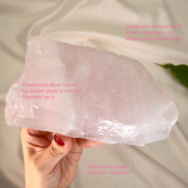Rosakvarts Rå klynge krystal sten i hånd på hvid baggrund med tags