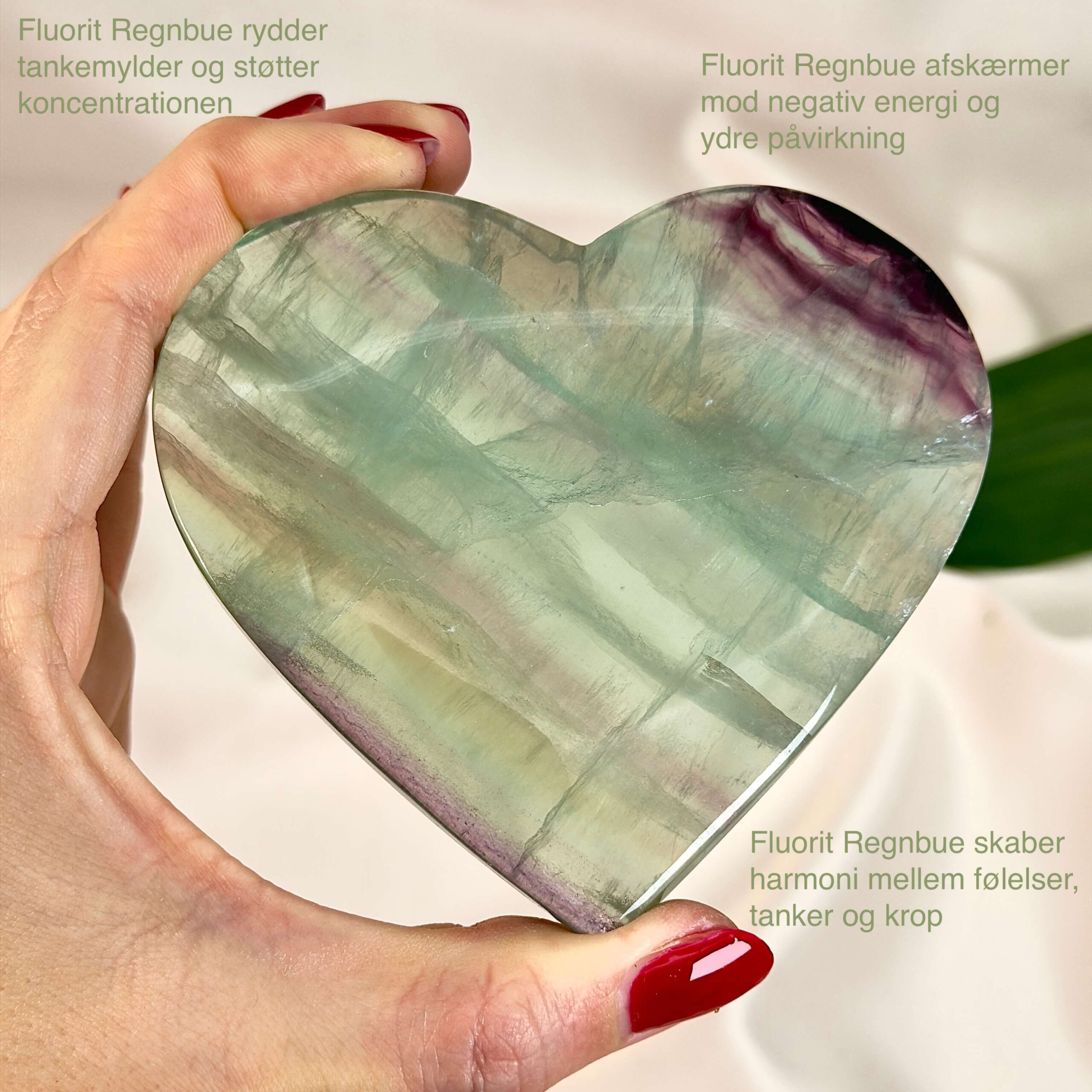 Fluorit Regnbue Hjerte Krystal Sten i hånd med tags på hvid baggrund