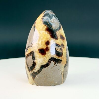 Septarie Freeform Krystal Sten på hvid og sort baggrund