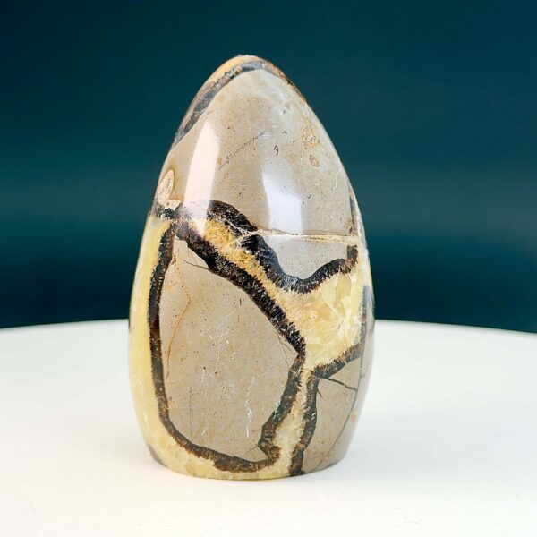 Septarie Freeform Krystal Sten på hvid og sort baggrund