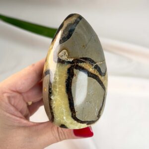 Septarie Freeform Krystal Sten i hånd på hvid baggrund