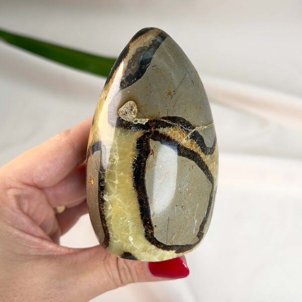 Septarie Freeform Krystal Sten i hånd på hvid baggrund