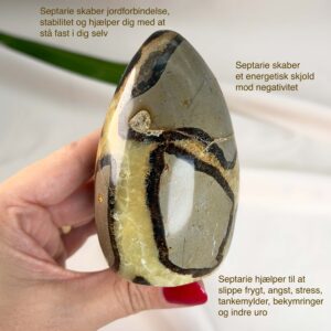 Septarie Freeform Krystal Sten i hånd på hvid baggrund med tags