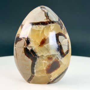 Septarie Freeform Krystal Sten på hvid og sort baggrund