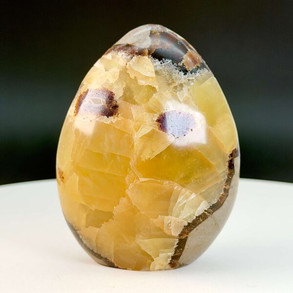 Septarie Freeform Krystal Sten på hvid og sort baggrund