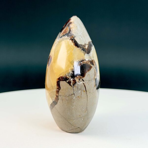 Septarie Freeform Krystal Sten på hvid og sort baggrund