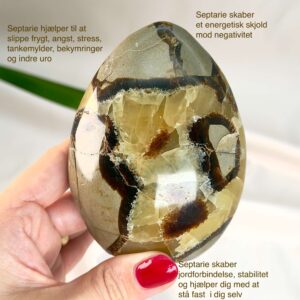 Septarie Freeform Krystal Sten i hånd på hvid baggrund med tags