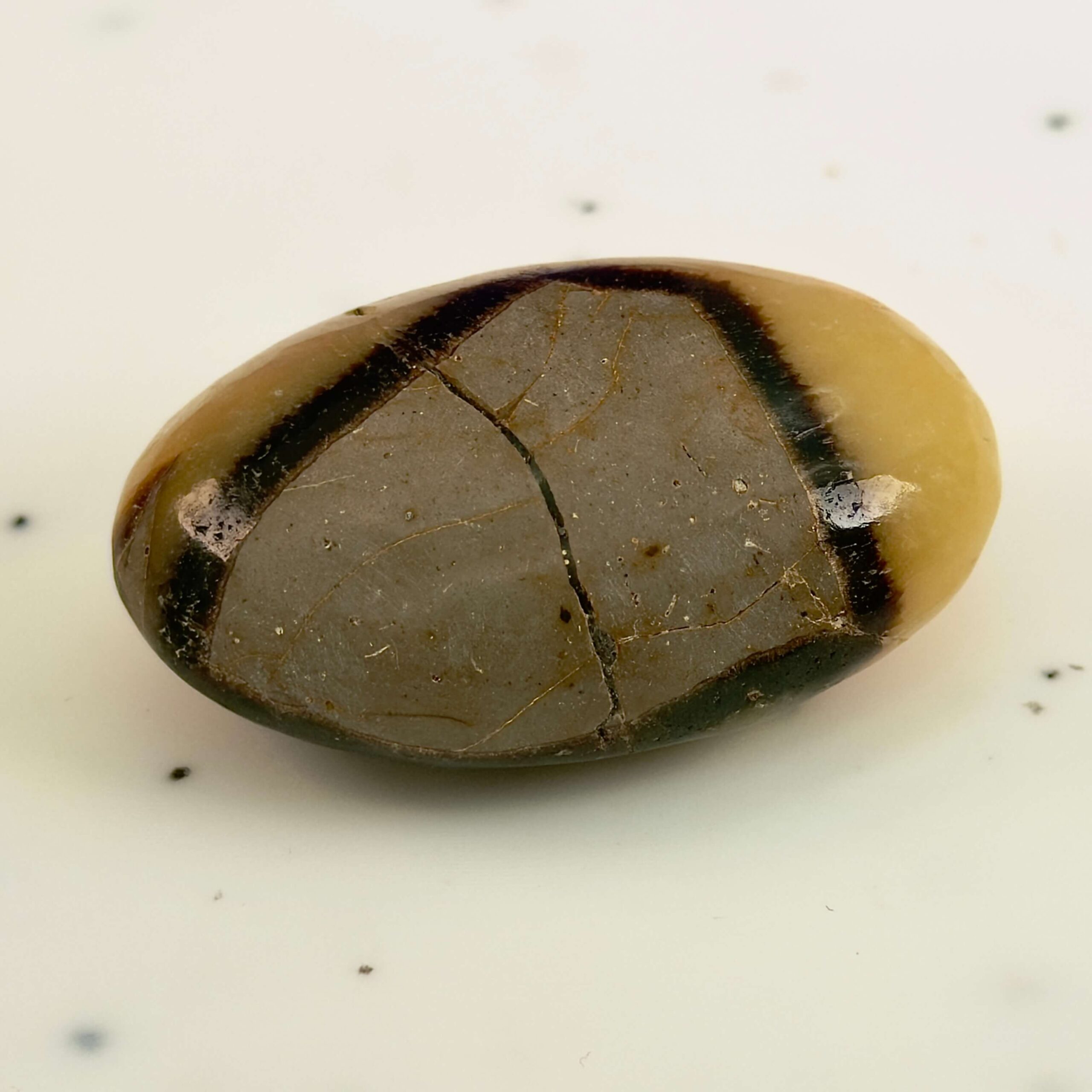 Septarie håndsten Krystal Sten på hvid baggrund