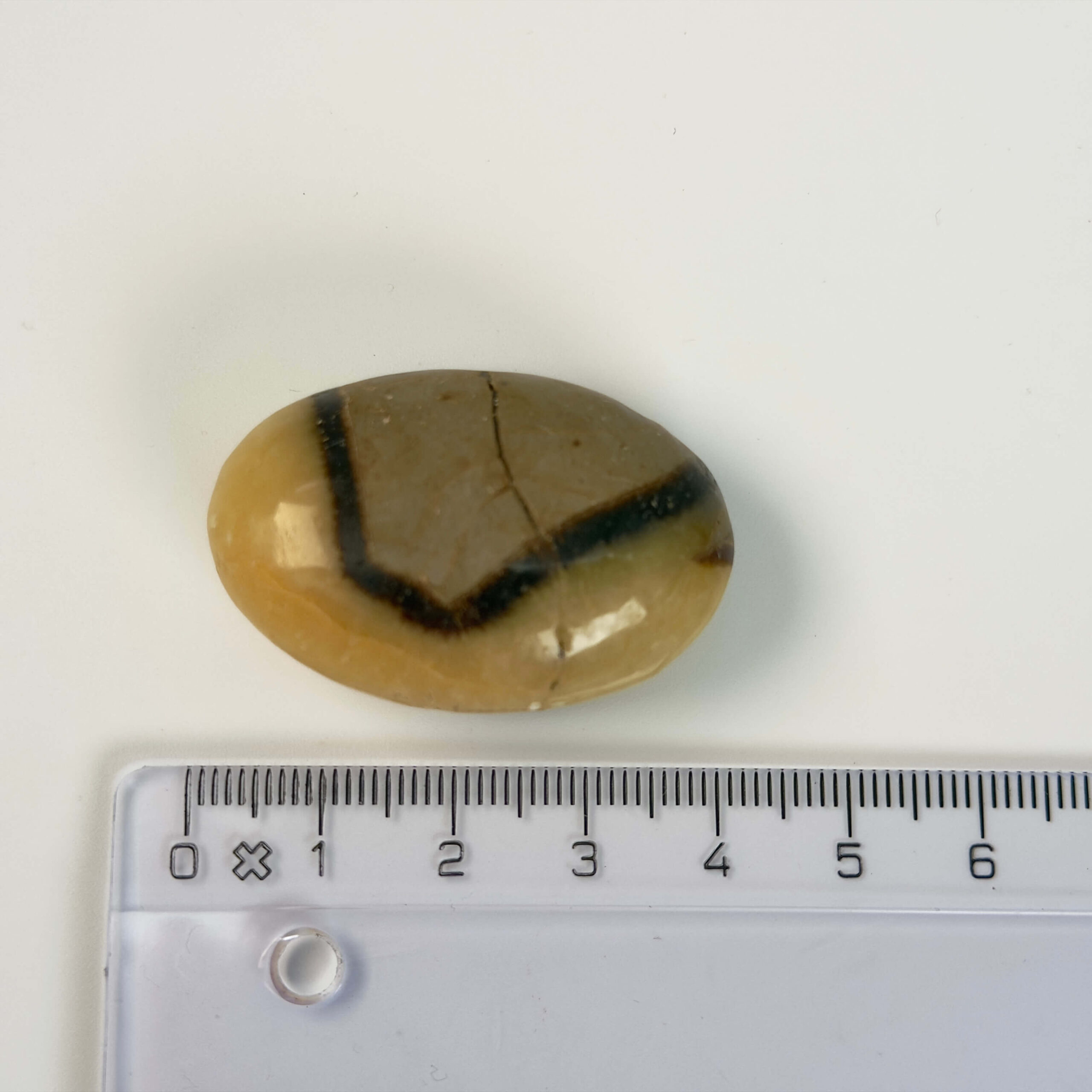 Septarie håndsten Krystal Sten med lineal på hvid baggrund