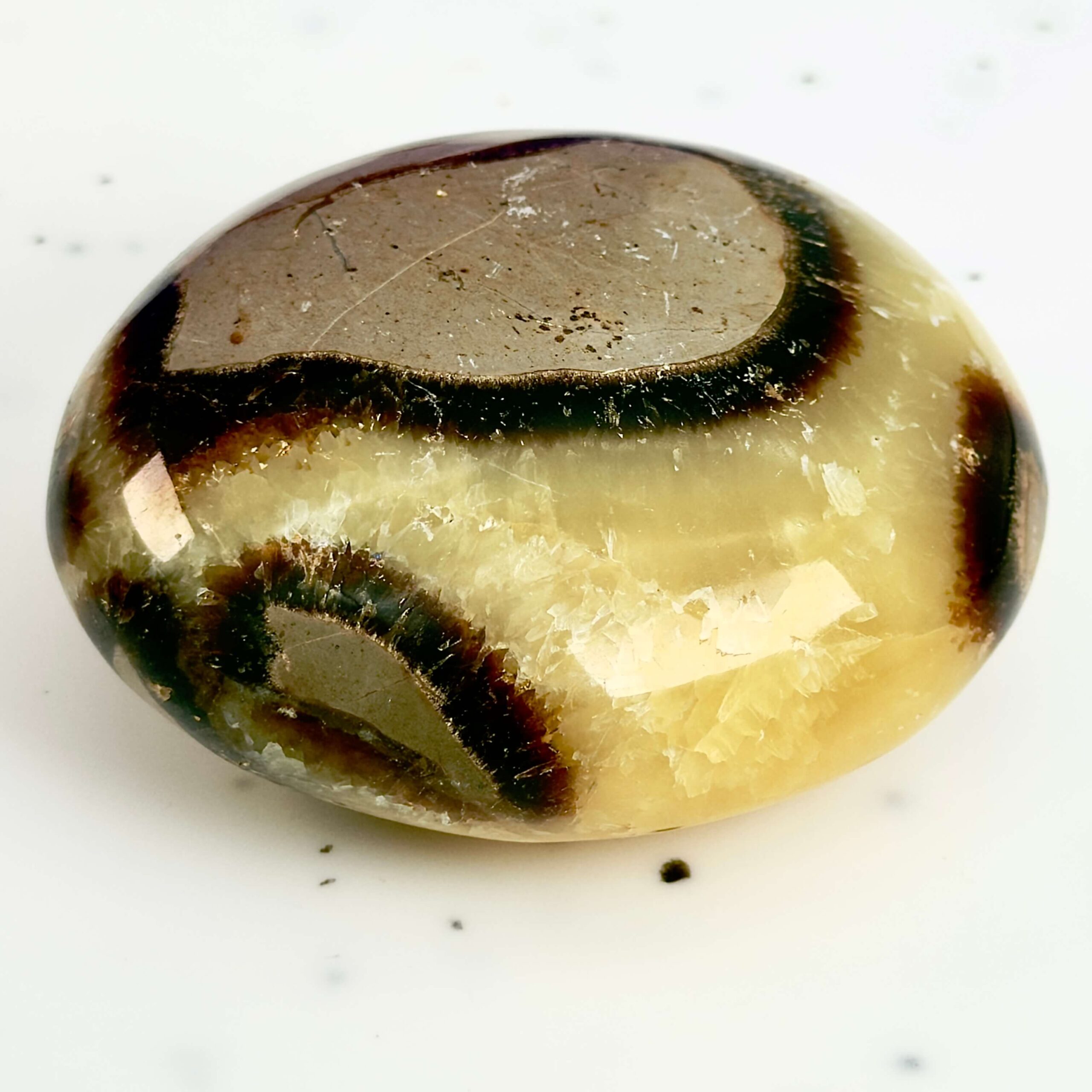 Septarie håndsten Krystal Sten på hvid baggrund