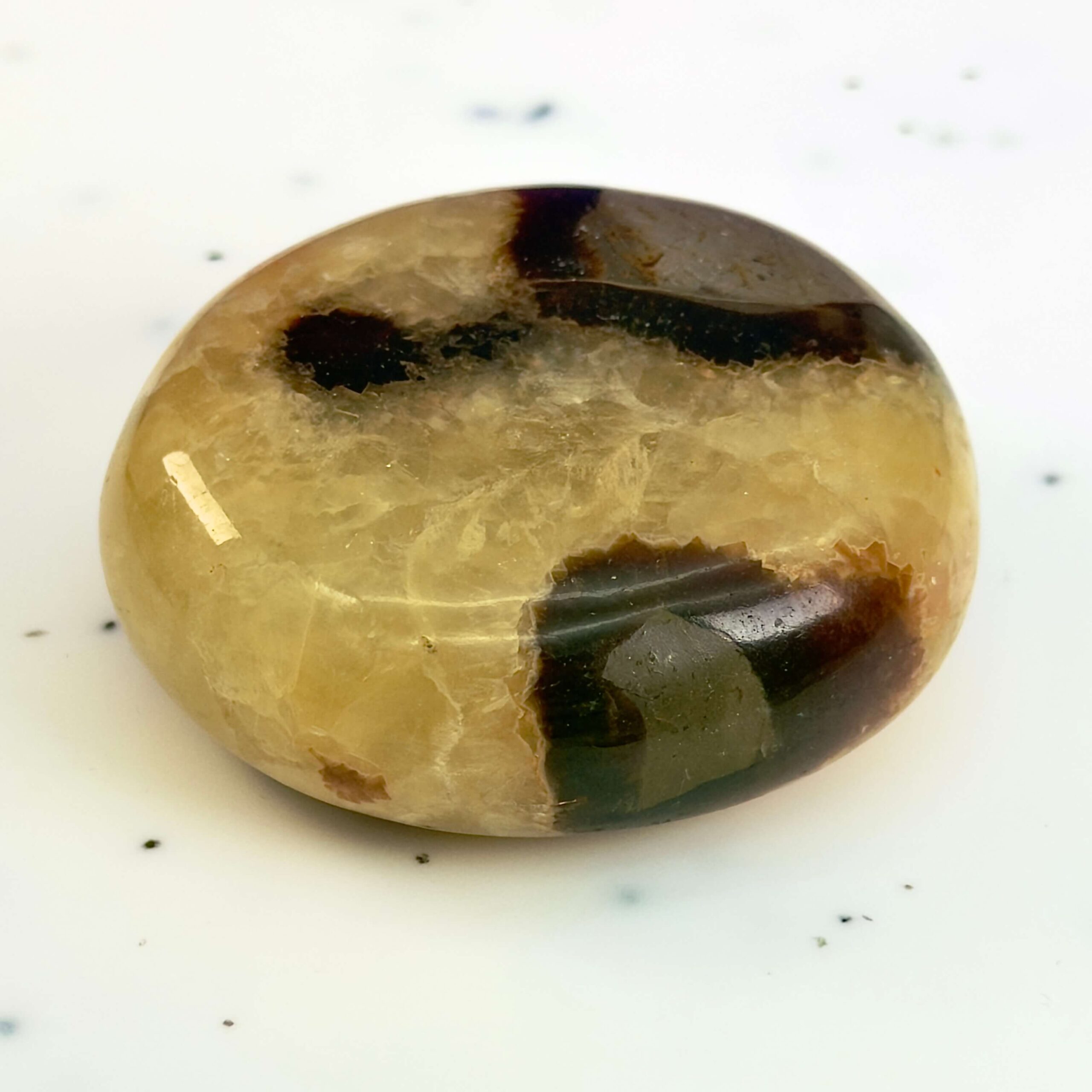 Septarie håndsten Krystal Sten på hvid baggrund