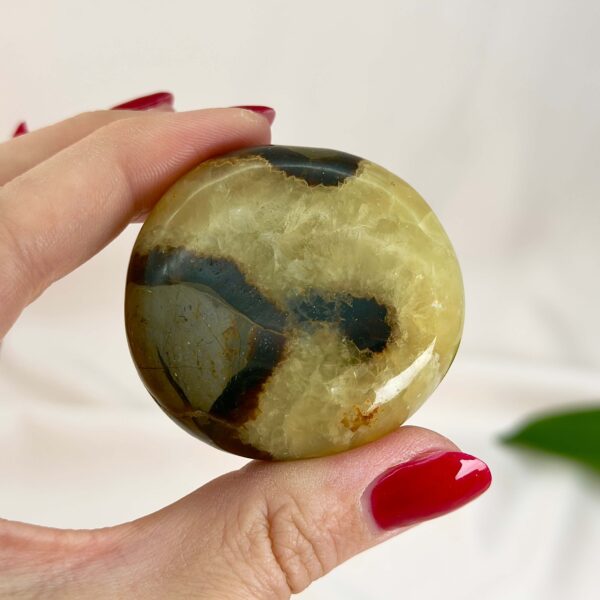 Septarie håndsten Krystal Sten I hånd på hvid baggrund