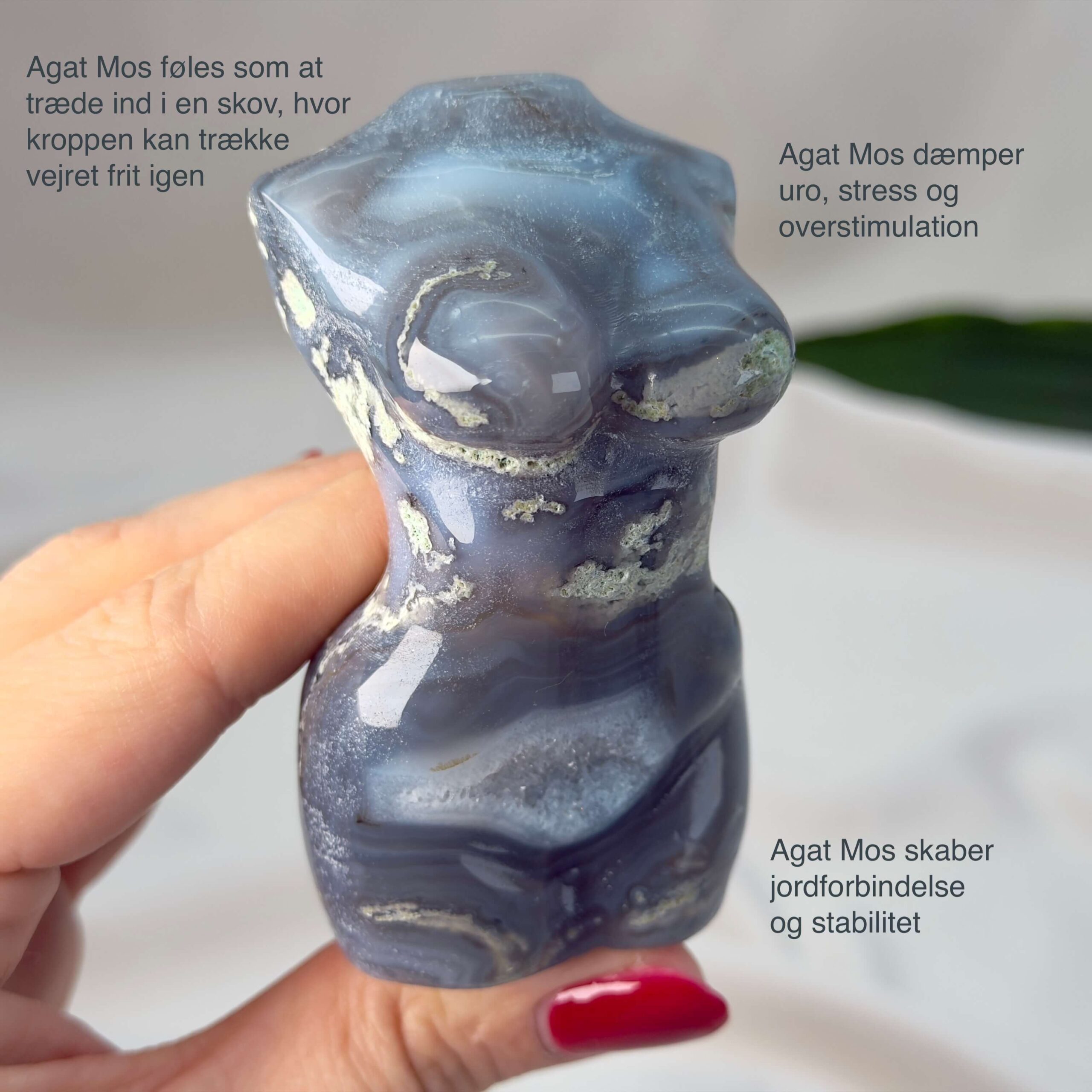 Agat Mos Kvindekrop krystal sten i hånd på hvid baggrund med tags