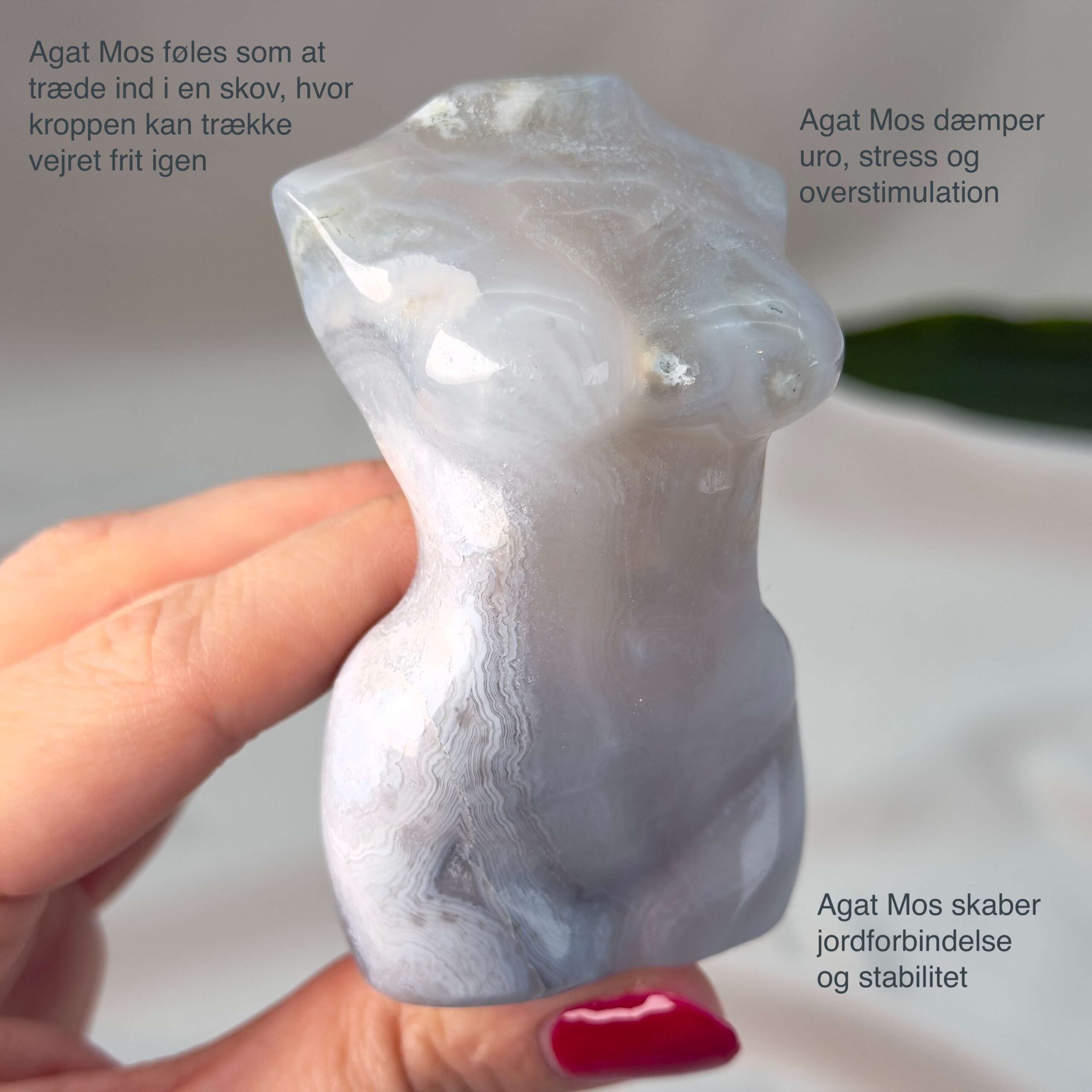 Agat Mos Kvindekrop krystal sten i hånd på hvid baggrund med tags