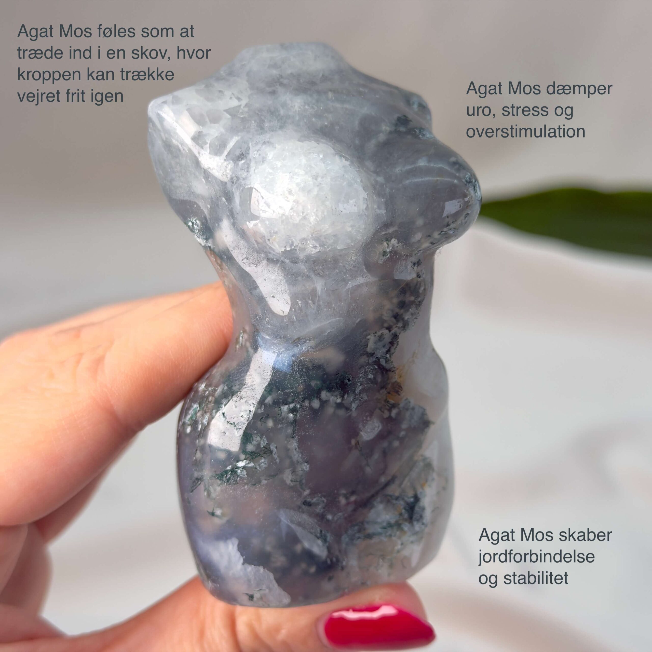 Agat Mos Kvindekrop krystal sten i hånd på hvid baggrund med tags