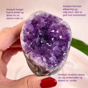 Ametyst Premium Grotte Krystal Sten i hånd på hvid baggrund med tags