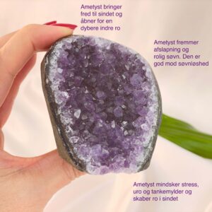 Ametyst Premium Grotte Krystal Sten i hånd på hvid baggrund med tags