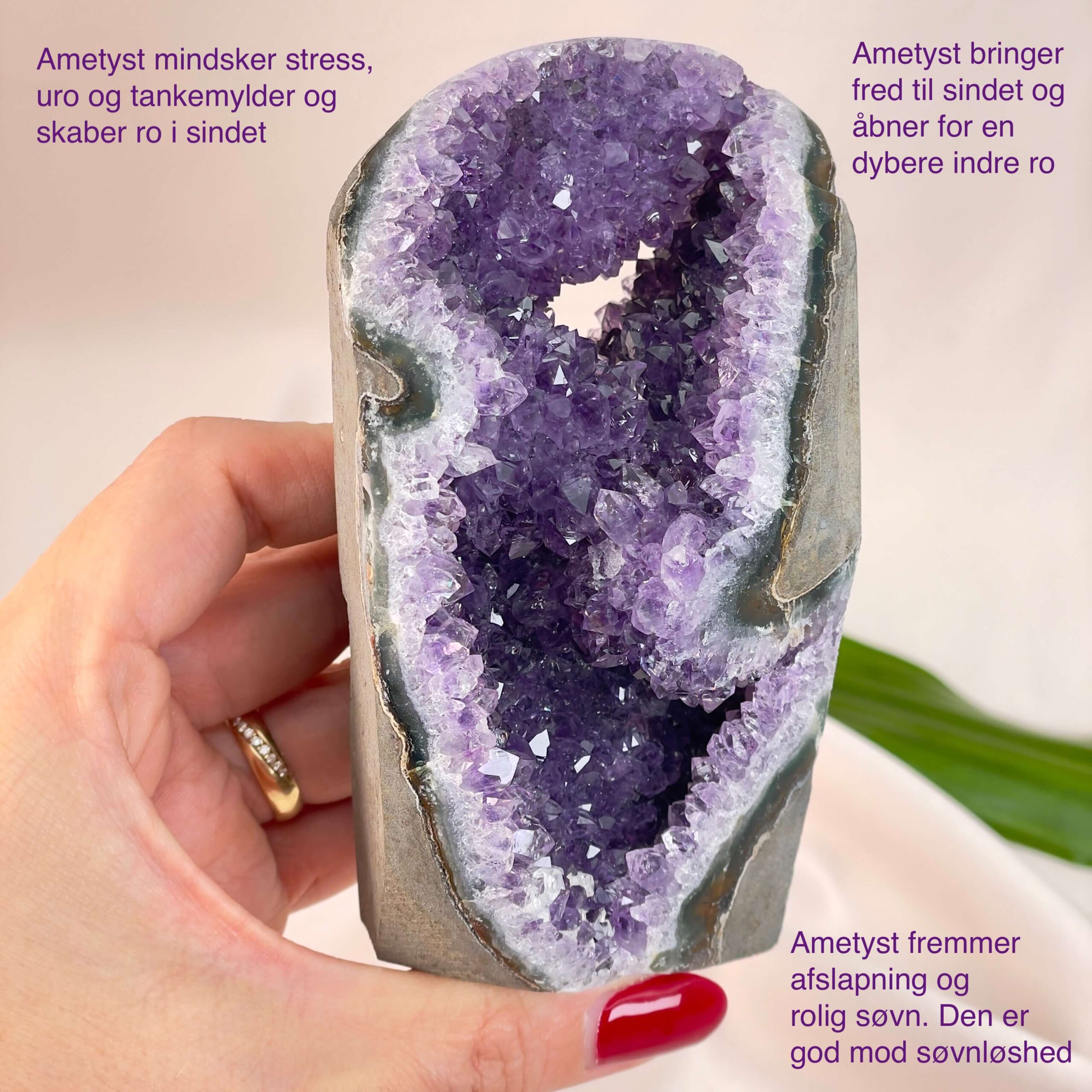 Ametyst Grotte Krystal Sten i hånd på hvid baggrund med tags