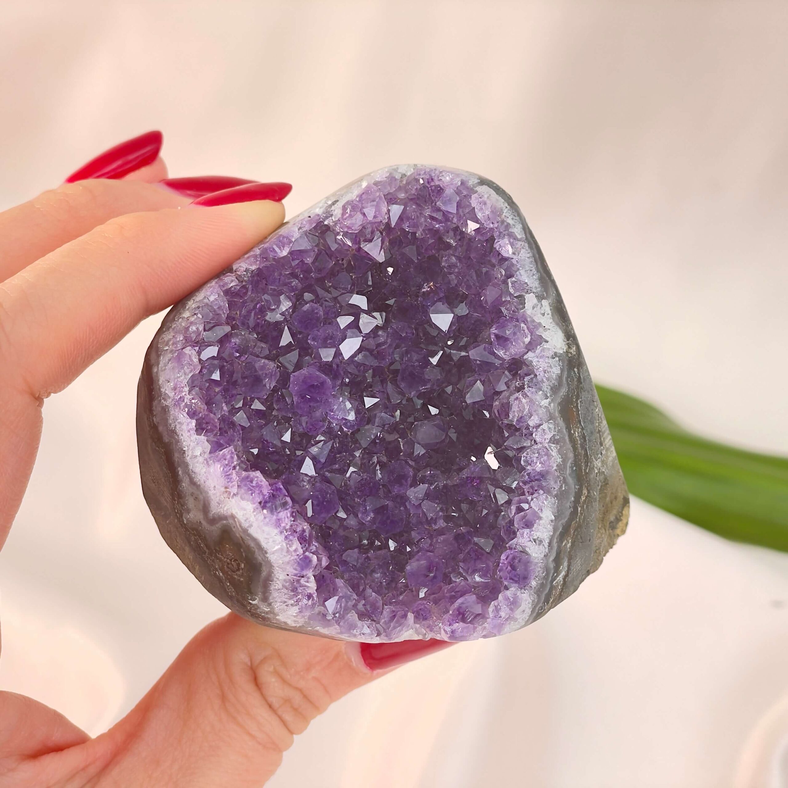 Ametyst Grotte Krystal Sten i hånd på hvid baggrund