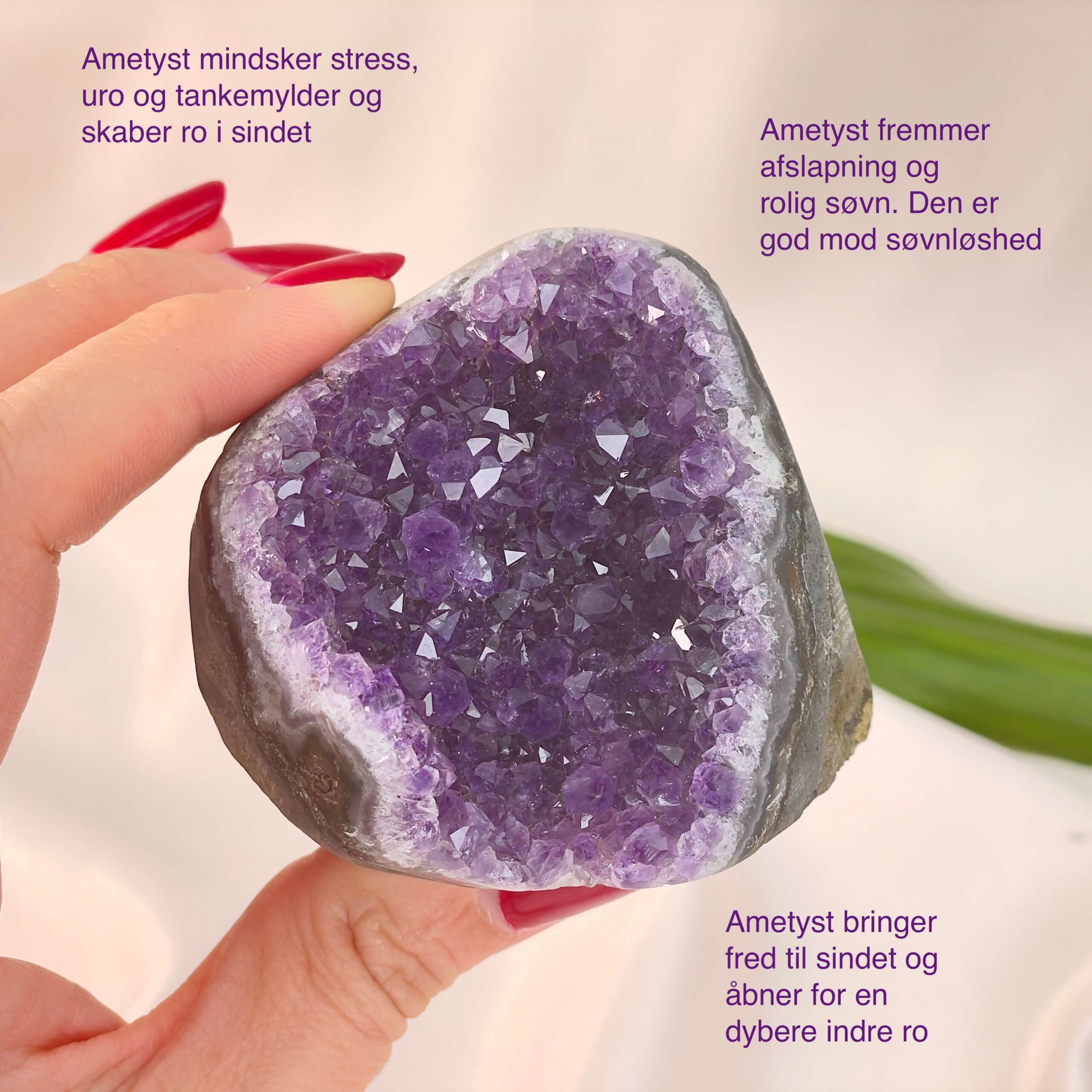 Ametyst Grotte Krystal Sten i hånd på hvid baggrund med tags