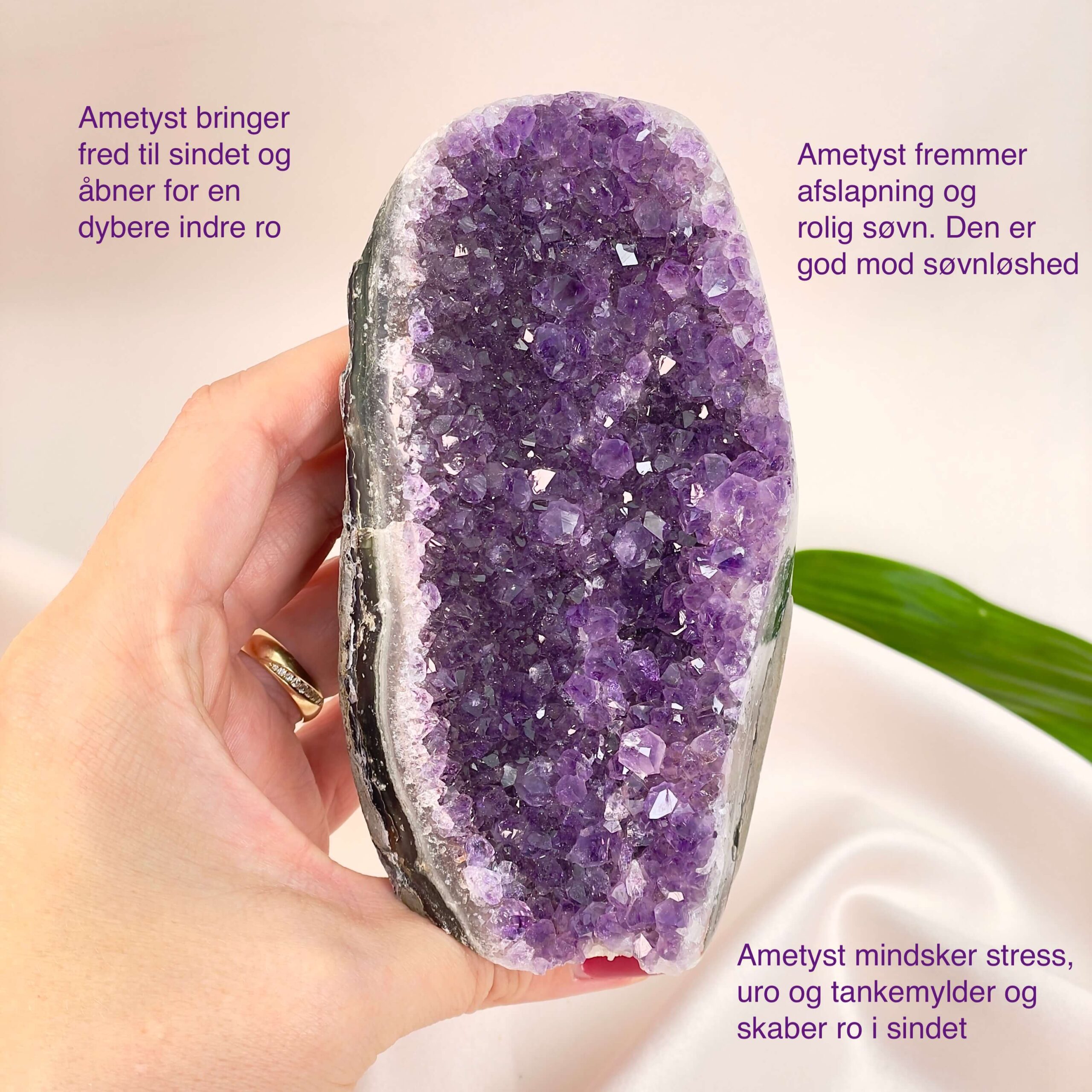 Ametyst Premium Grotte Krystal Sten i hånd på hvid baggrund med tags