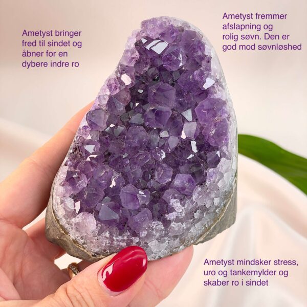 Ametyst Premium Grotte Krystal Sten i hånd på hvid baggrund med tags