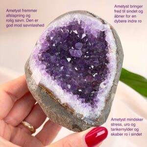 Ametyst Premium Grotte Krystal Sten i hånd på hvid baggrund med tags