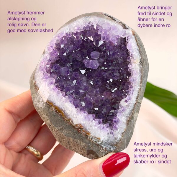 Ametyst Premium Grotte Krystal Sten i hånd på hvid baggrund med tags