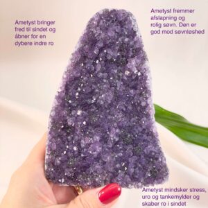 Ametyst Premium Grotte Krystal Sten i hånd på hvid baggrund med tags