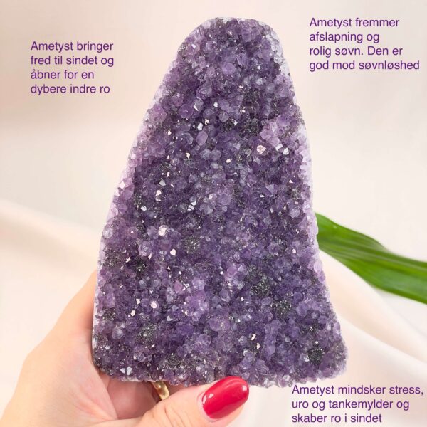 Ametyst Premium Grotte Krystal Sten i hånd på hvid baggrund med tags