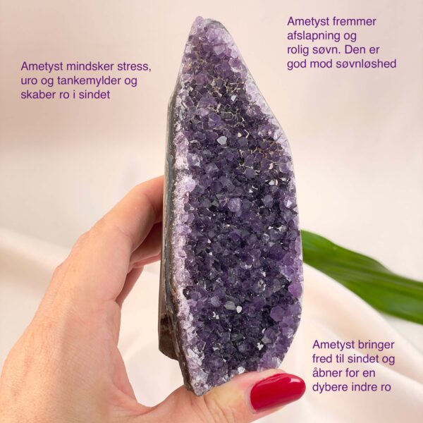 Ametyst Grotte Krystal Sten i hånd på hvid baggrund med tags