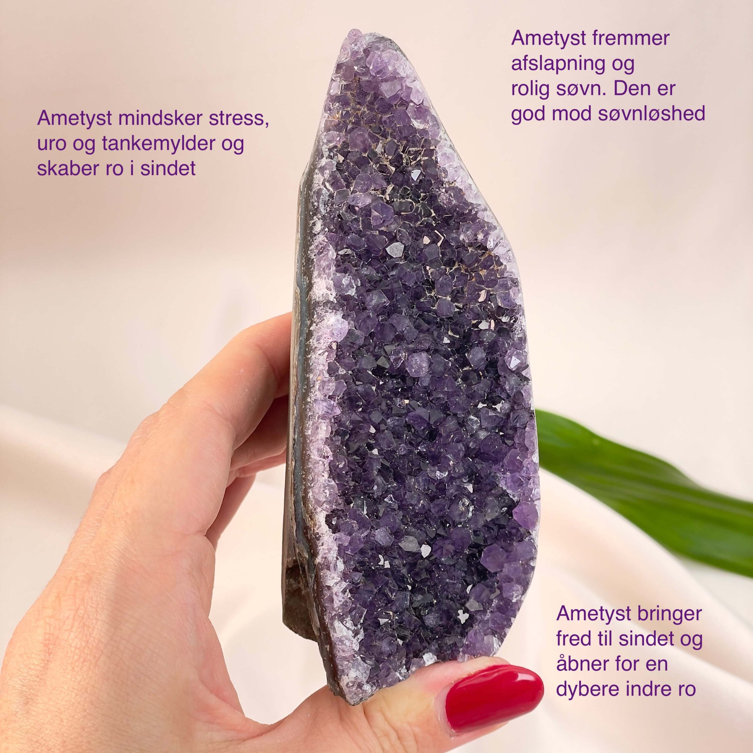 Ametyst Grotte Krystal Sten i hånd på hvid baggrund med tags