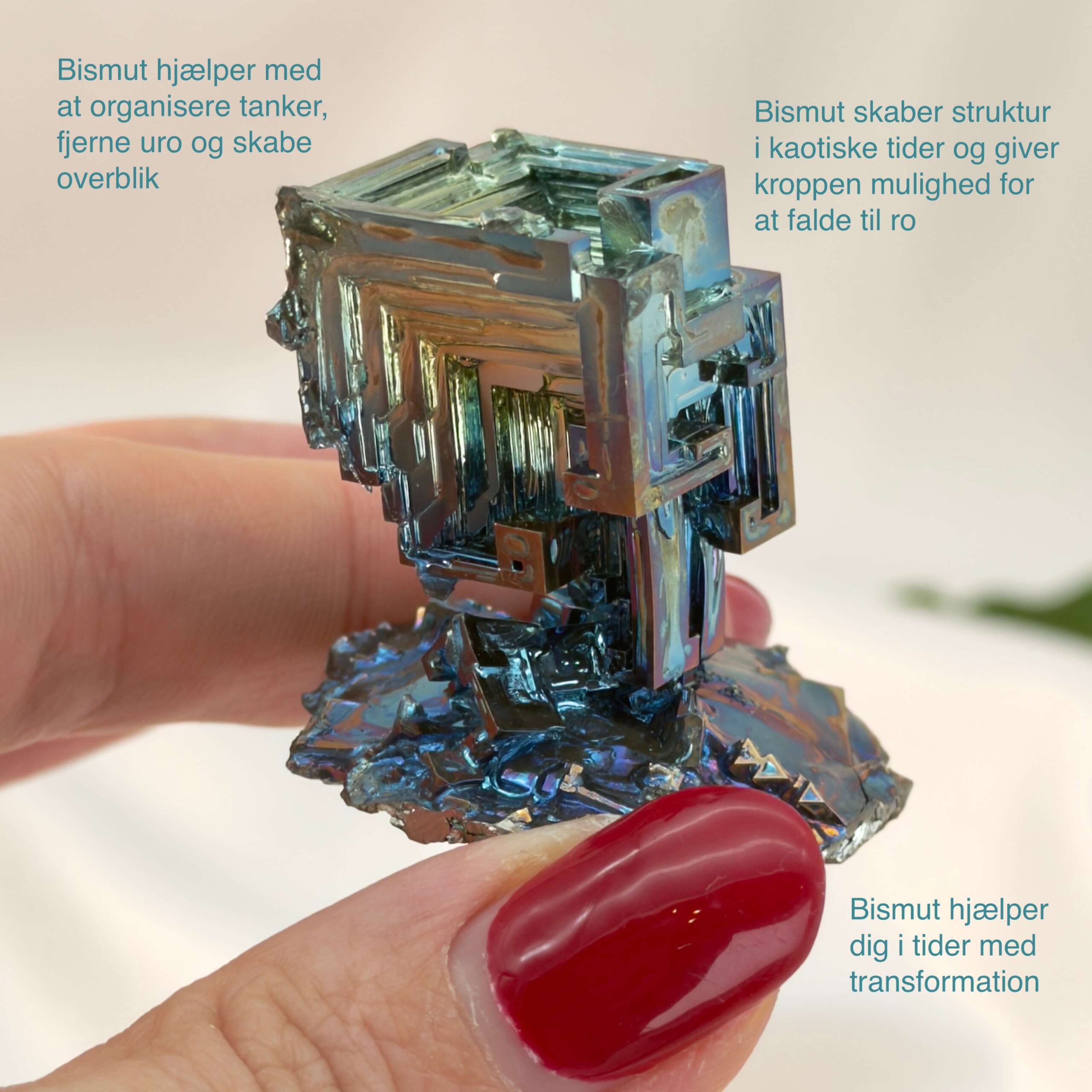 Bismut Rå Krystal Sten i hånd på hvid baggrund med tags