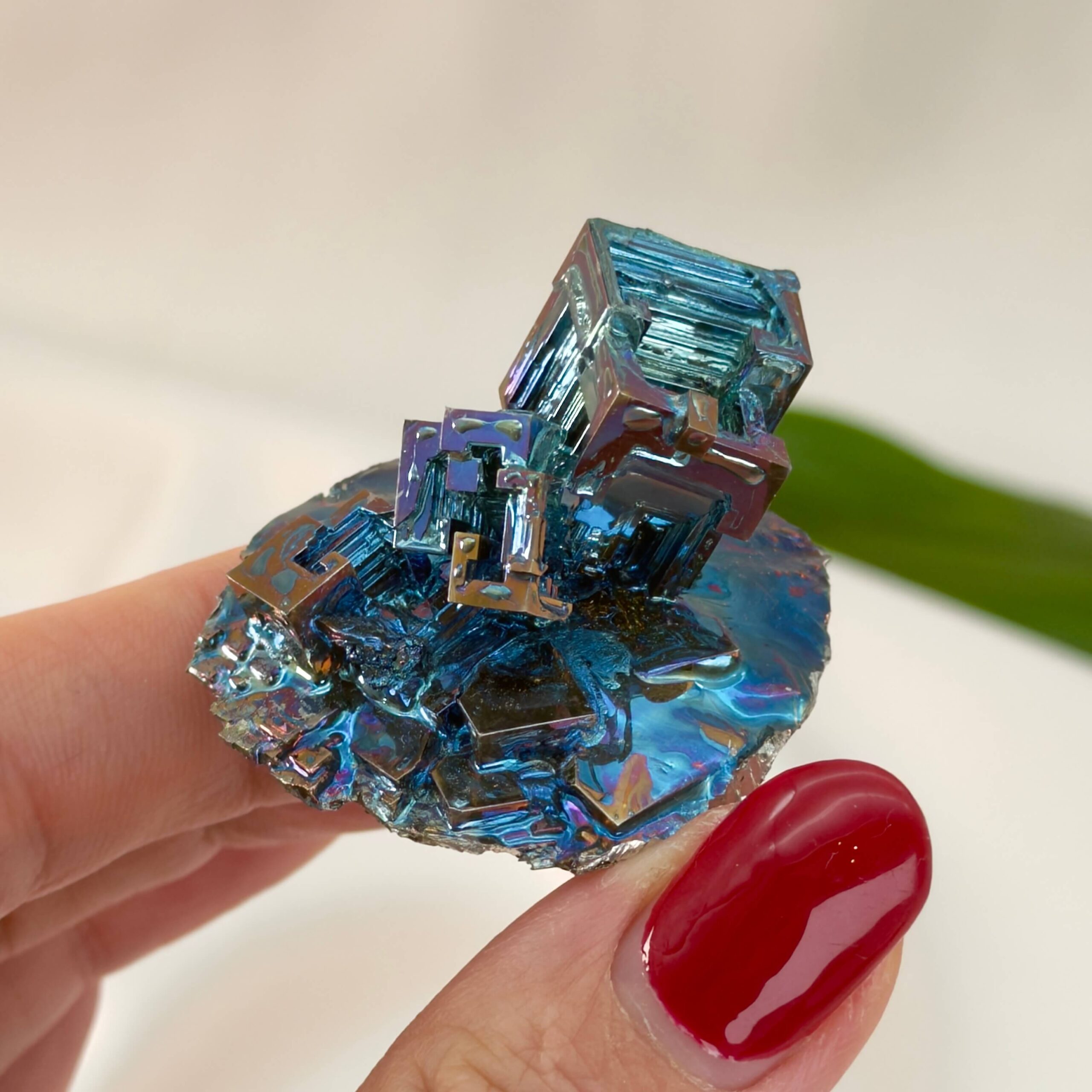 Bismut Rå Krystal Sten i hånd på hvid baggrund